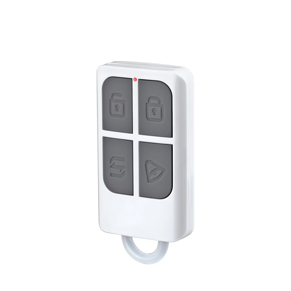 Home Security Tips - Télécommande portable sans fil RC531 à