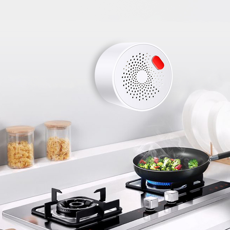 Tuya-Capteur de gaz naturel do - Home Security Devices avis et prix