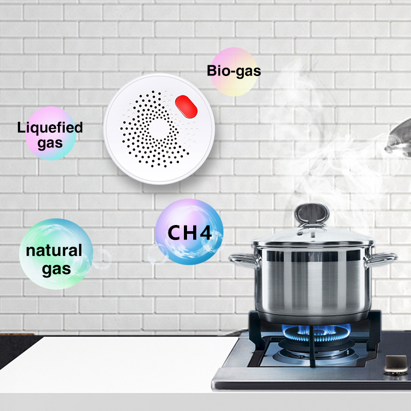 Tuya-Capteur de gaz naturel do - Home Security Devices avis et prix