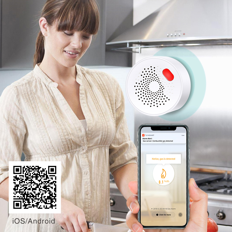Tuya-Capteur de gaz naturel do - Home Security Devices avis et prix